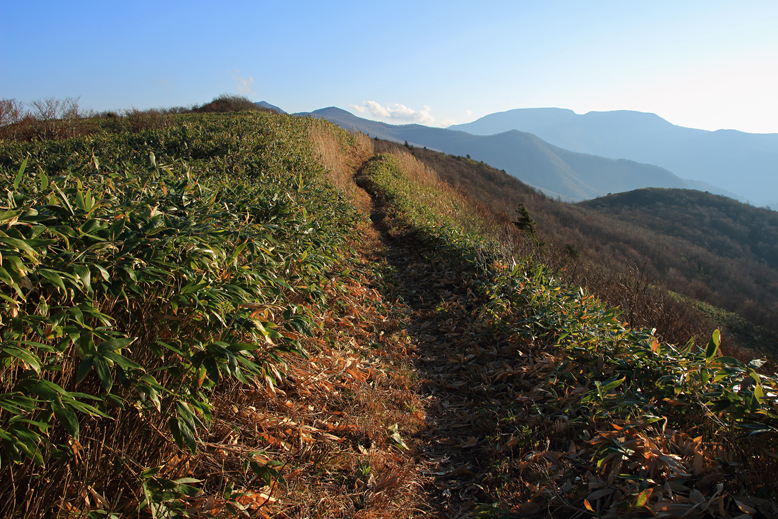 ハマグリ山