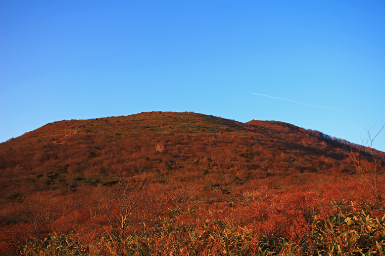 ハマグリ山