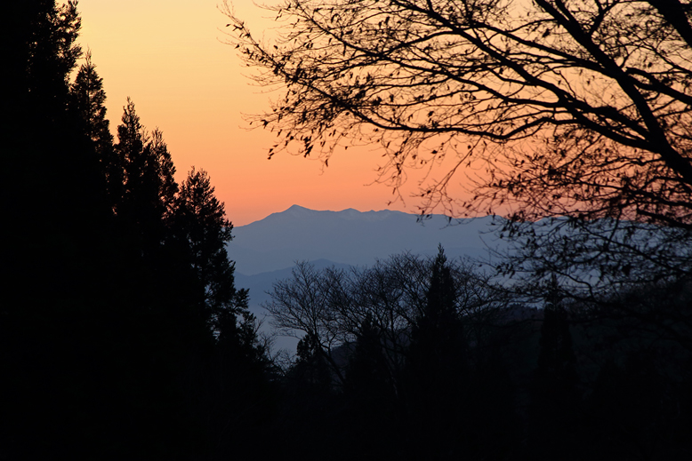 ハマグリ山