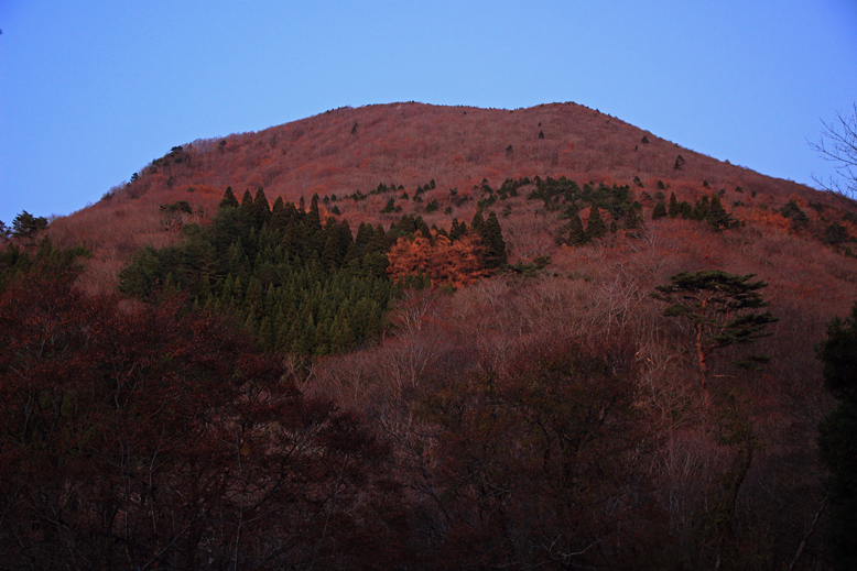 ハマグリ山