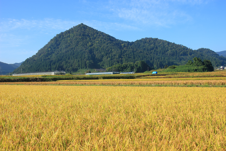 山形市 富神山