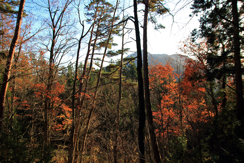 山形市 富神山