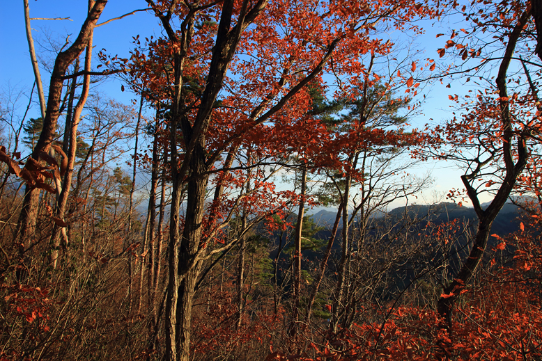 山形市 富神山