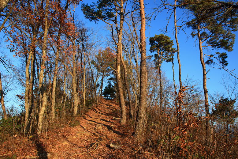 山形市 富神山