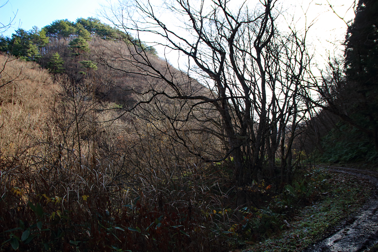 関山峠峰渡