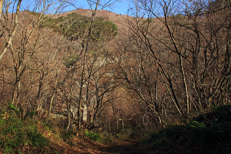 関山峠峰渡