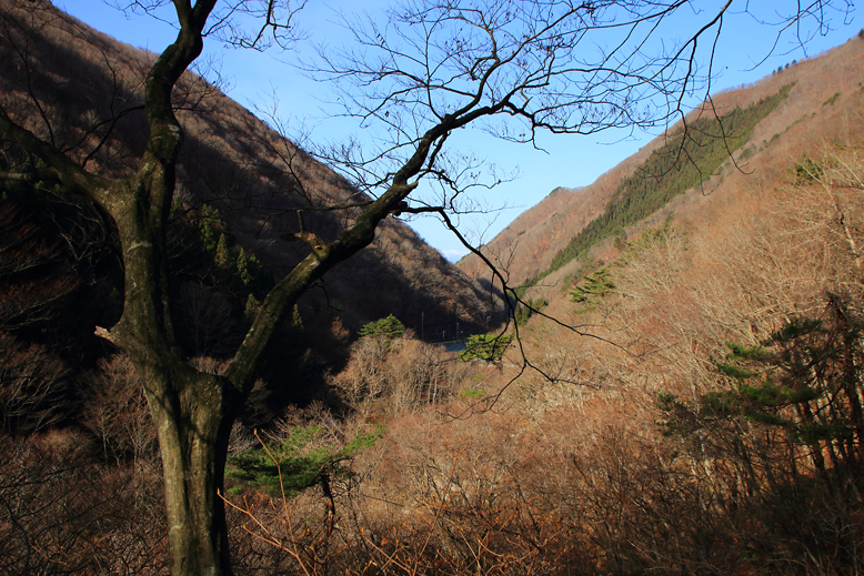 関山峠峰渡