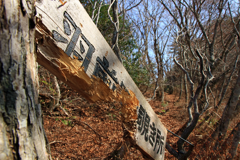 関山峠峰渡