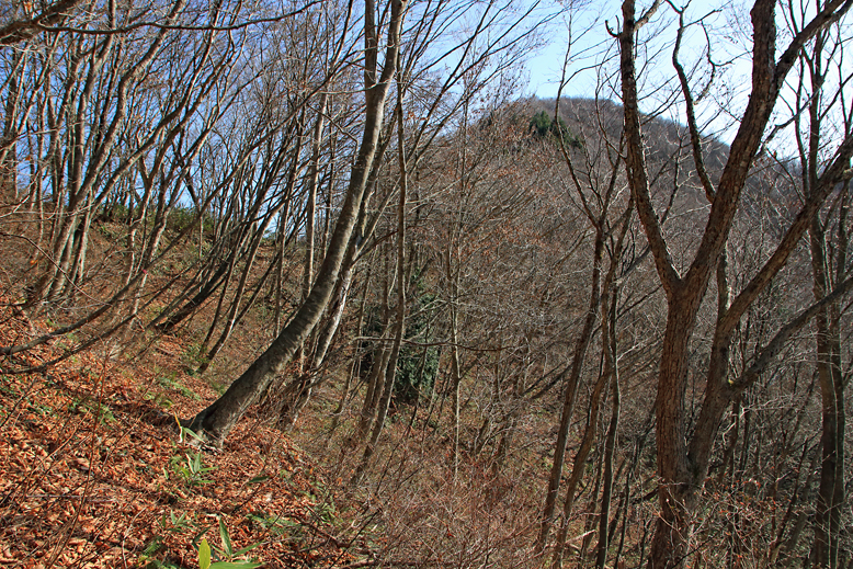 関山峠峰渡