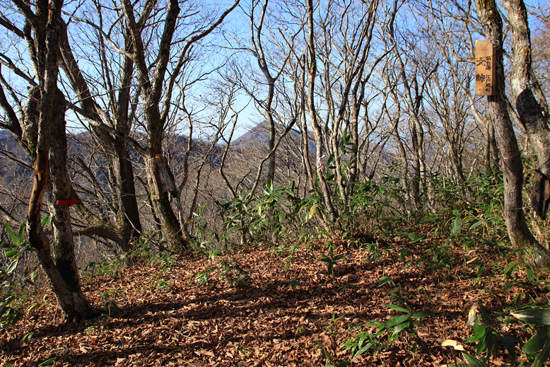関山峠峰渡