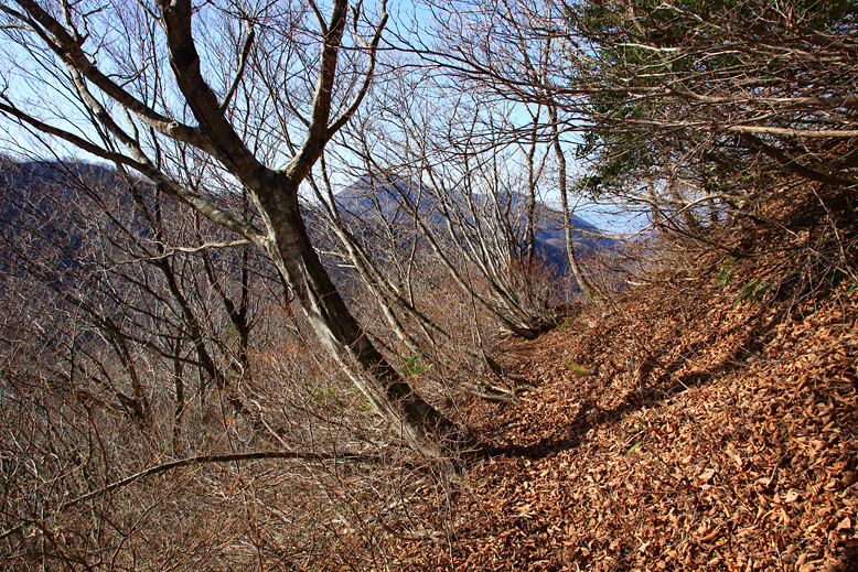 関山峠峰渡
