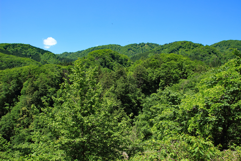 大頭森山