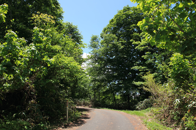 大頭森山