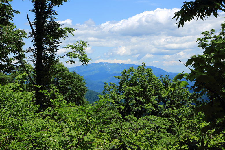 大頭森山