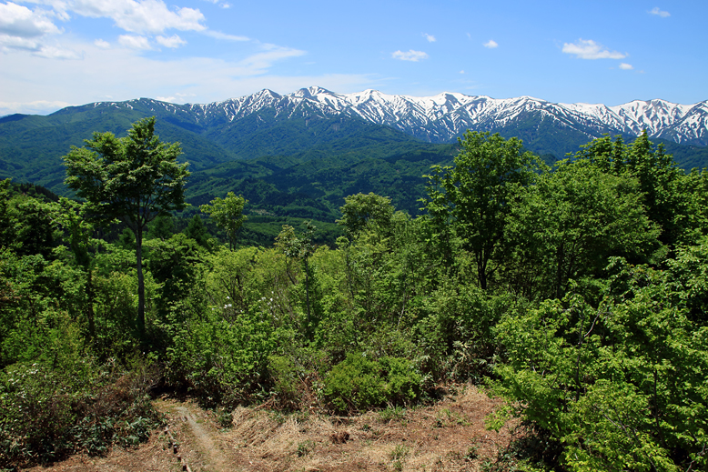 大頭森山