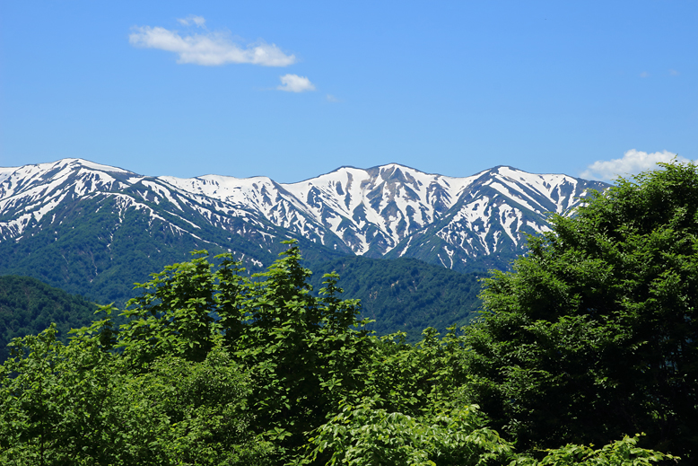 大頭森山