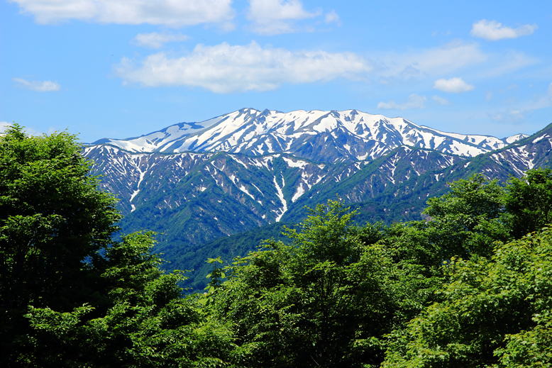 大頭森山