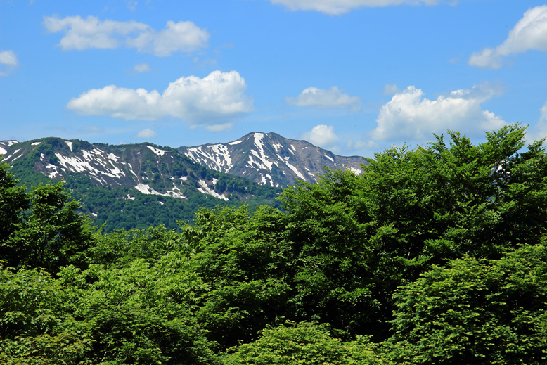 大頭森山