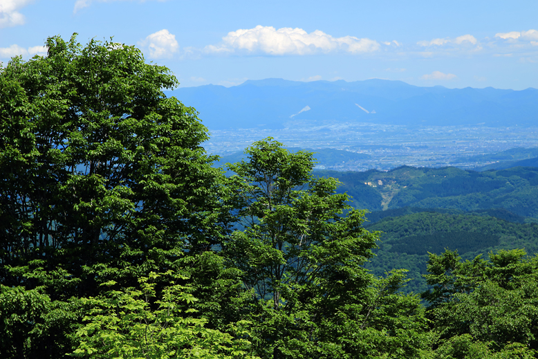 大頭森山
