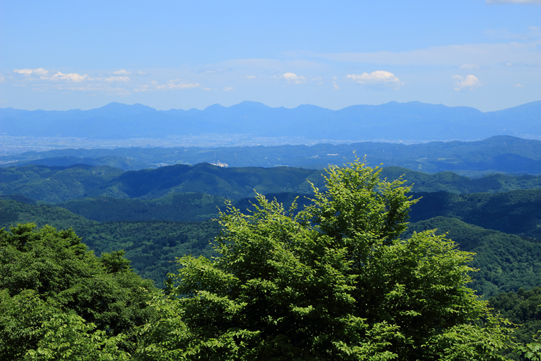 大頭森山