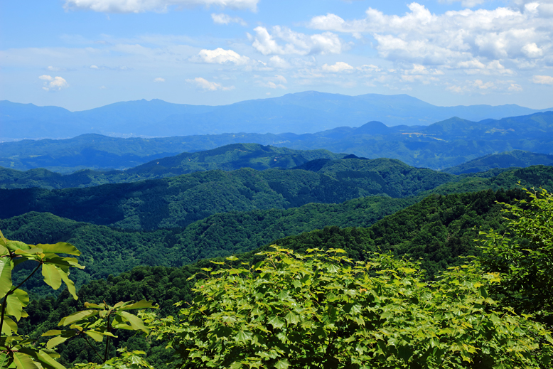 大頭森山