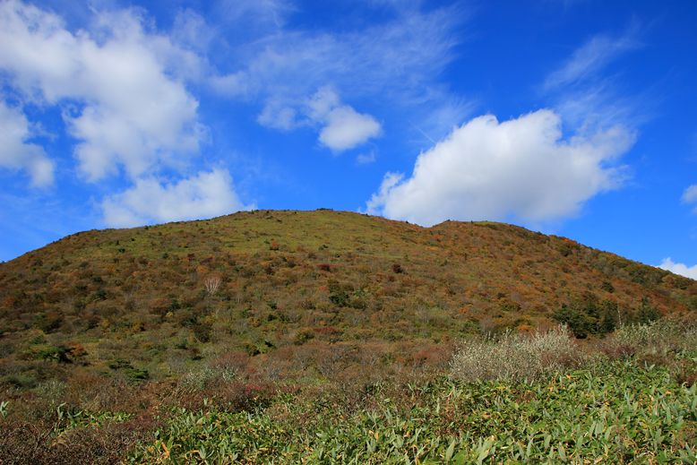 ハマグリ山