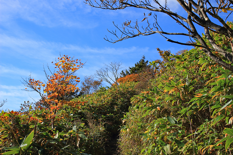 ハマグリ山