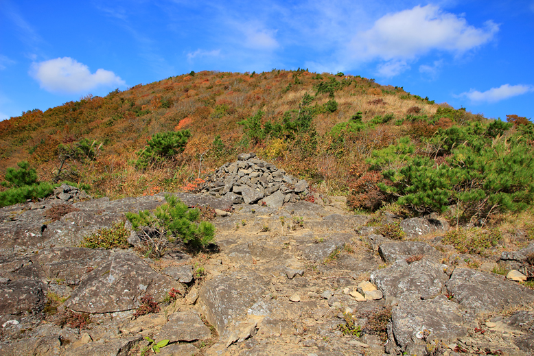 ハマグリ山