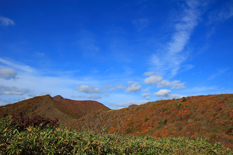 ハマグリ山