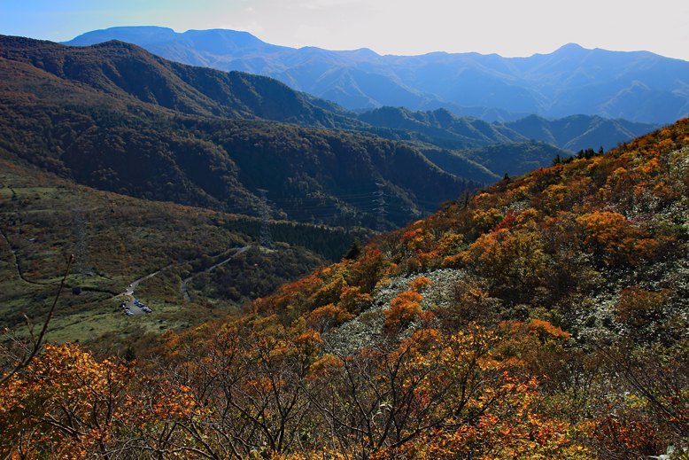 ハマグリ山