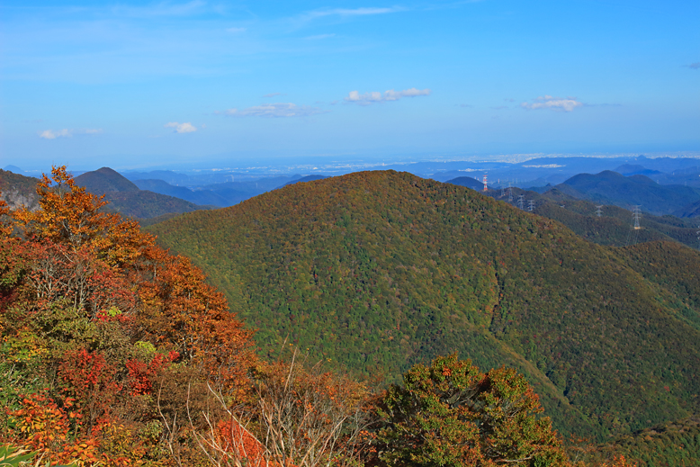 ハマグリ山