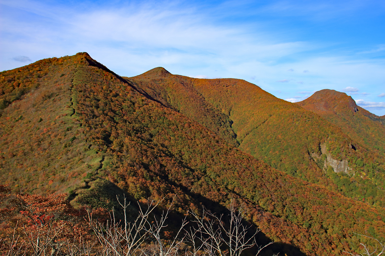 ハマグリ山