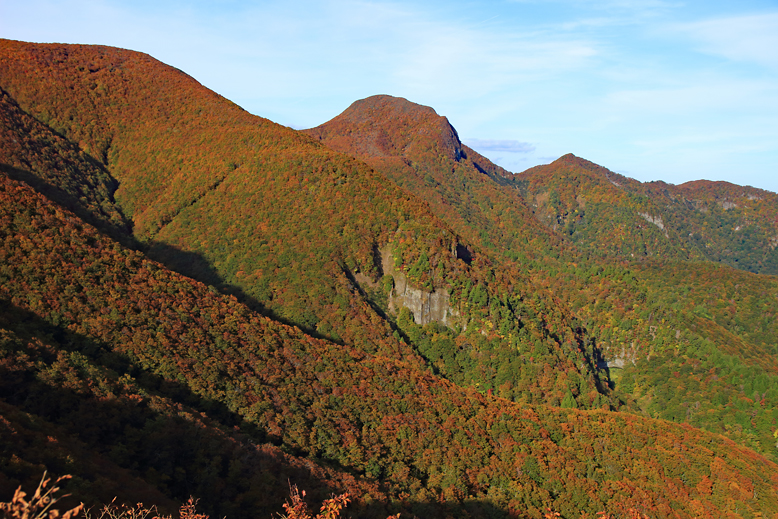 ハマグリ山