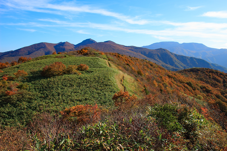 ハマグリ山