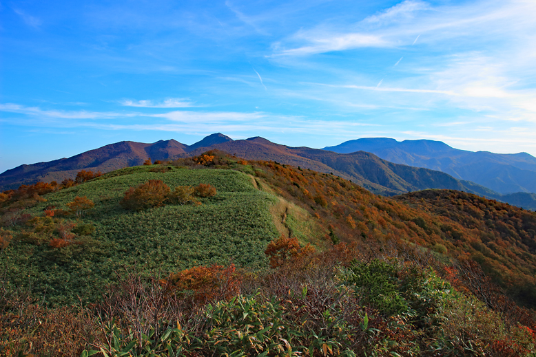 ハマグリ山