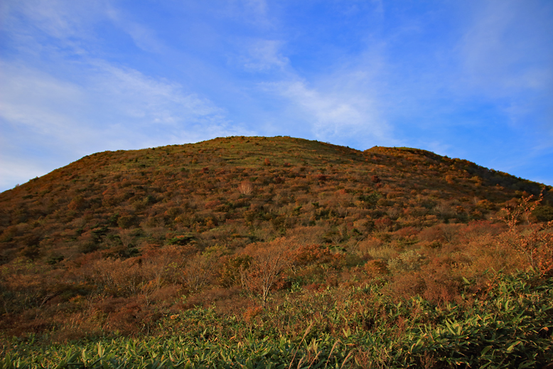 ハマグリ山