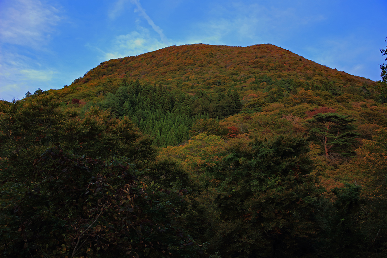ハマグリ山