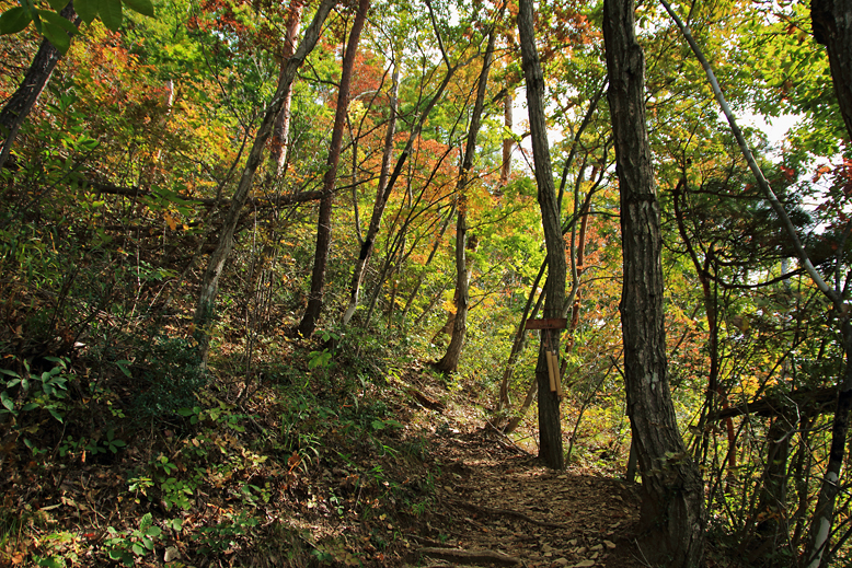 大岡山