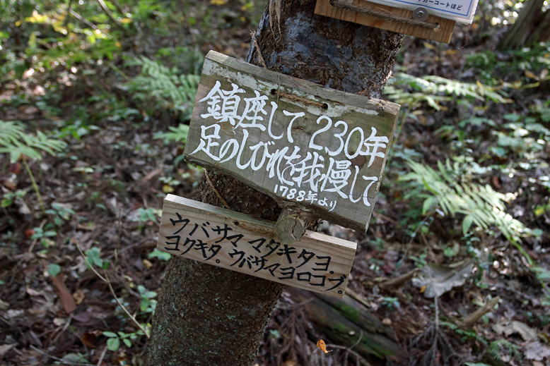 大岡山
