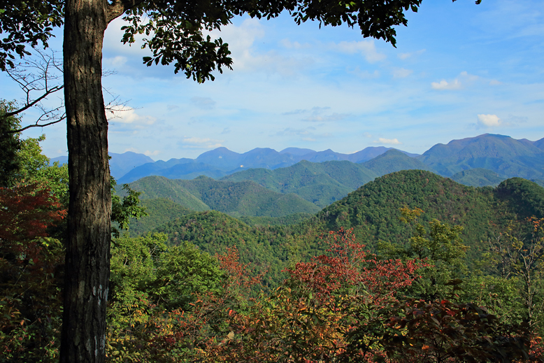 大岡山