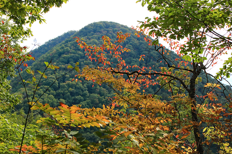 大岡山