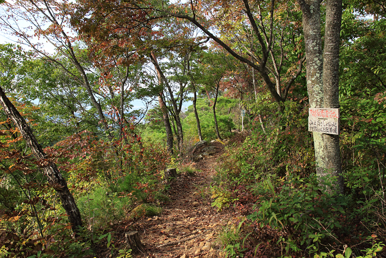 大岡山