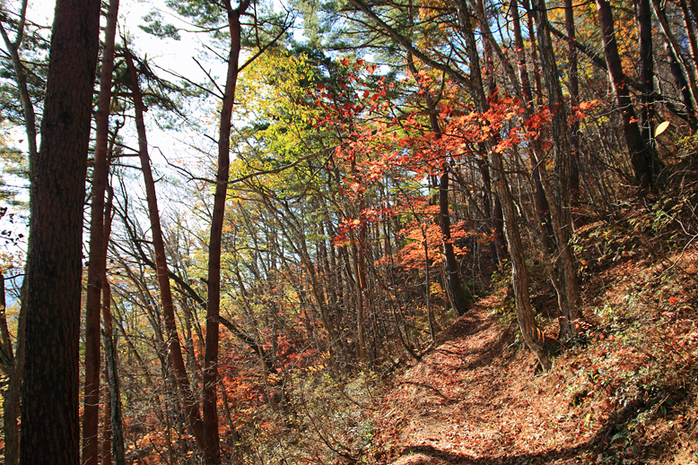 東黒森山