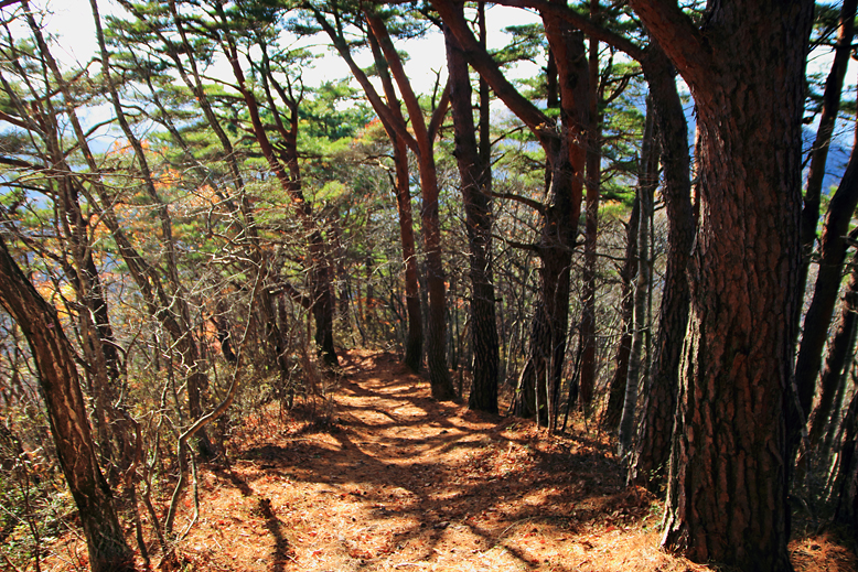 東黒森山