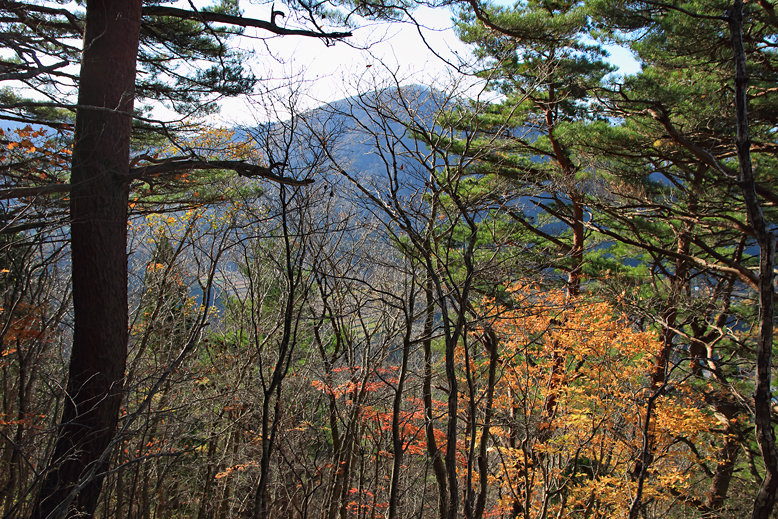 東黒森山
