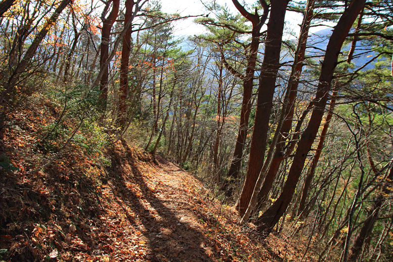 東黒森山