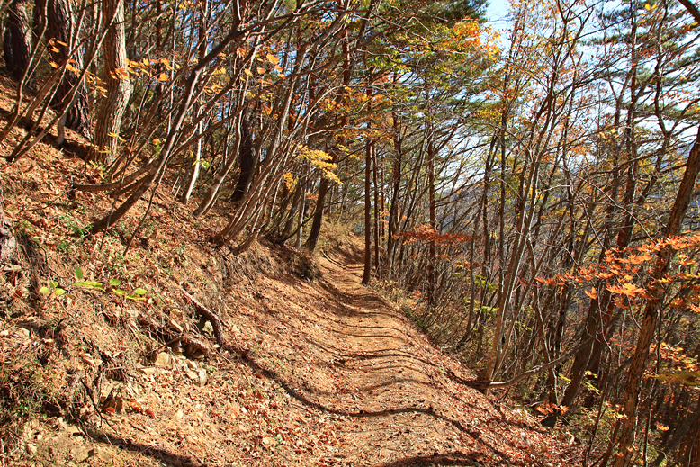 東黒森山