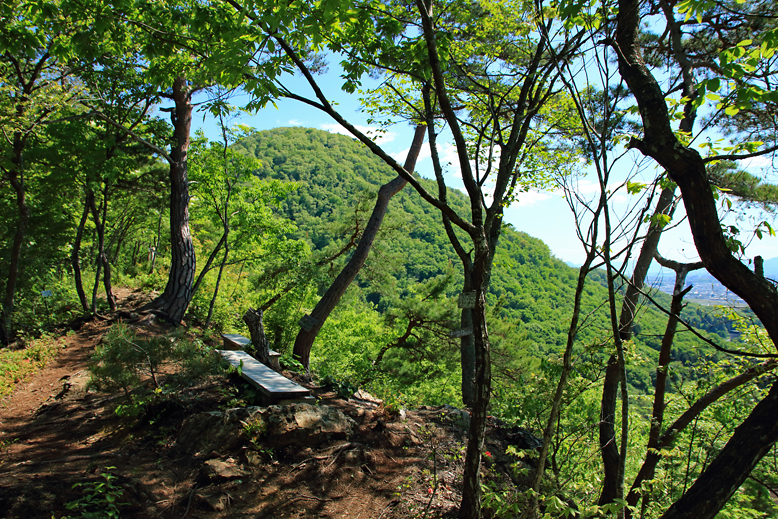 大岡山