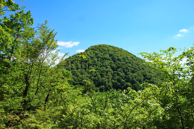大岡山