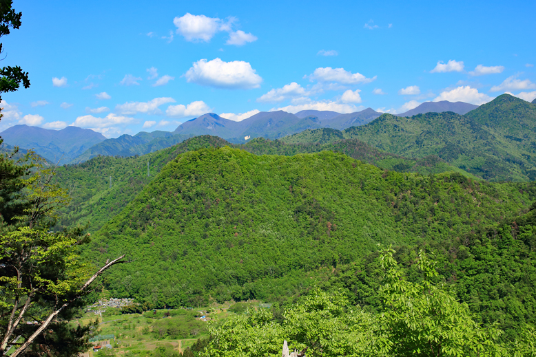 大岡山